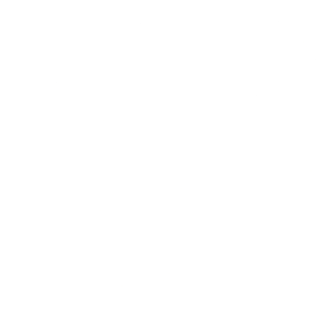 D3.js